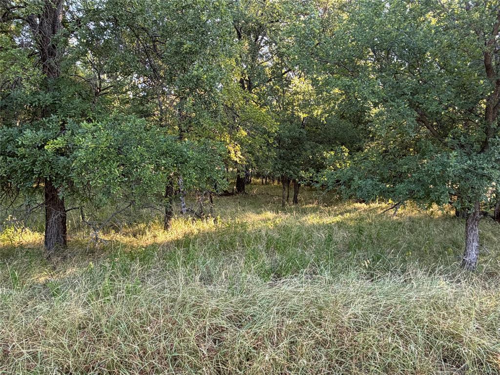 Lot 591 Cypress Drive