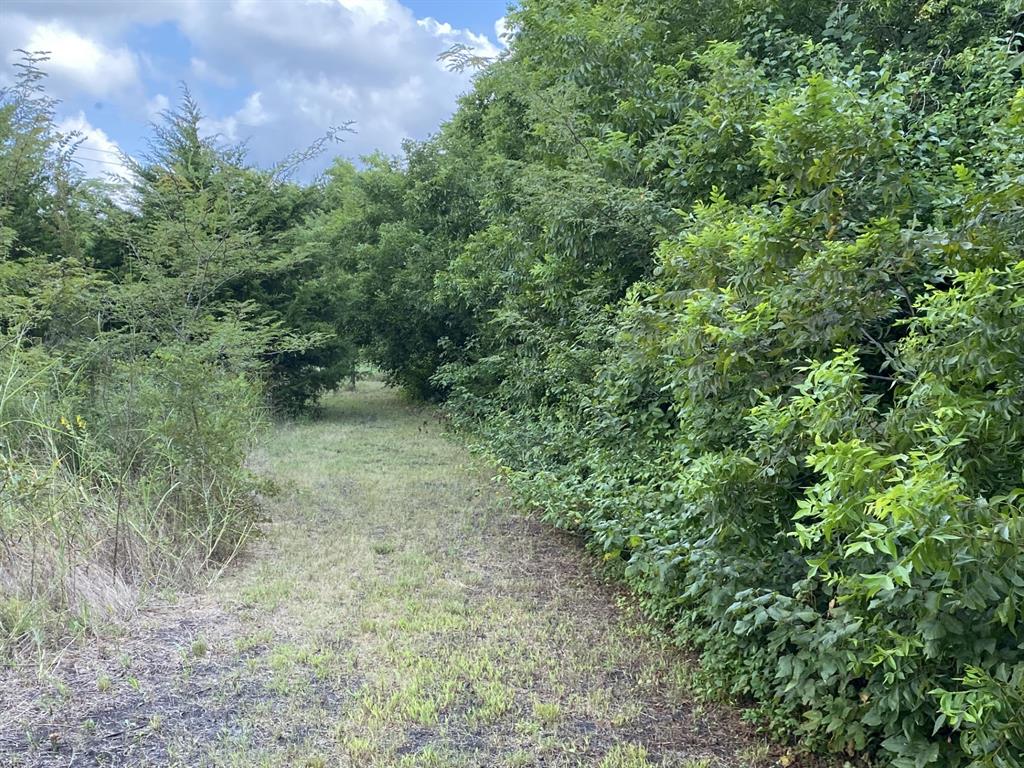 Maina Estates - Land