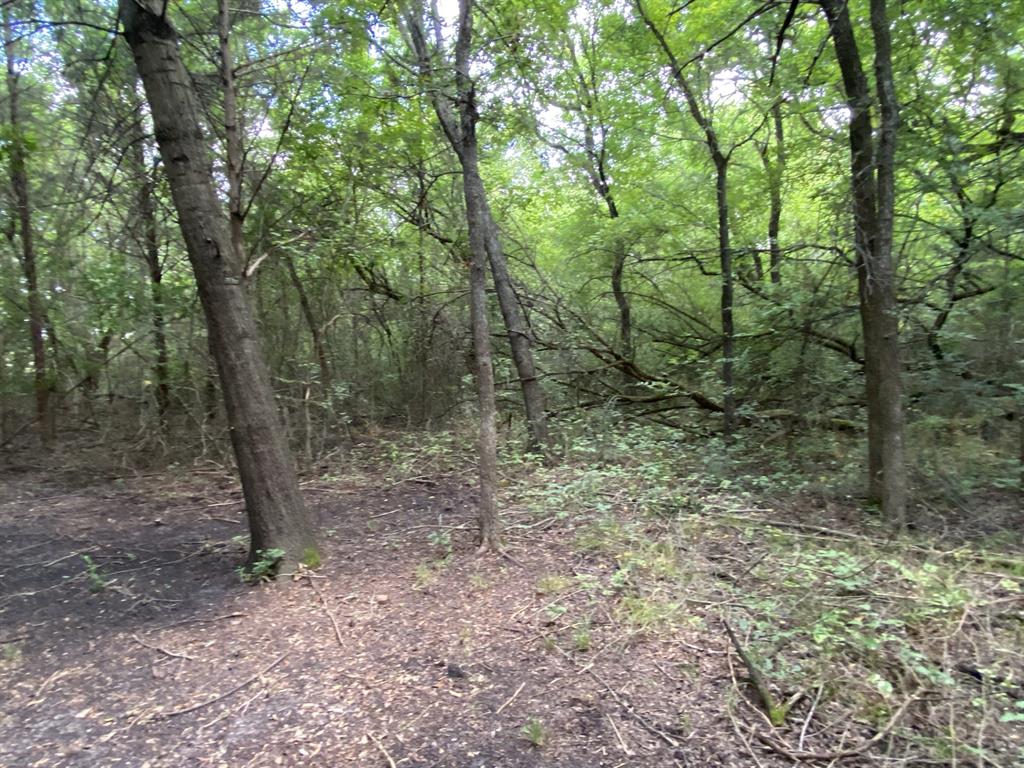 Maina Estates - Land