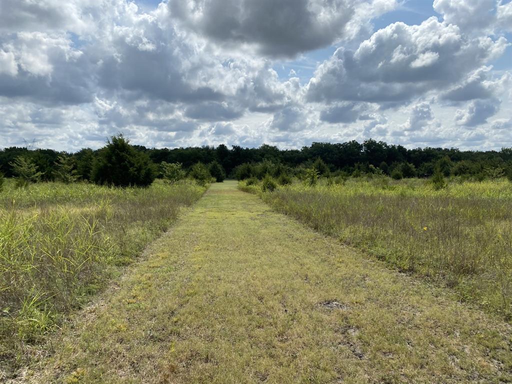 Maina Estates - Land