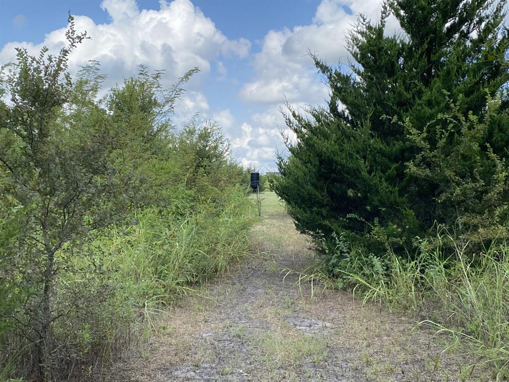 Maina Estates - Land