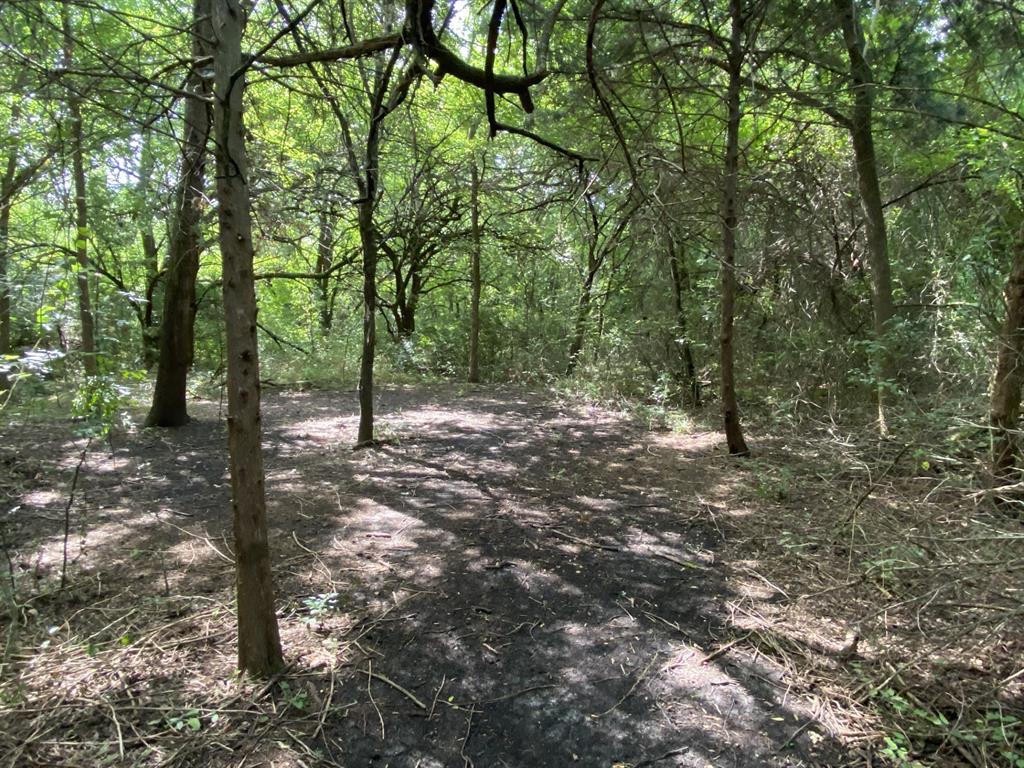 Maina Estates - Land