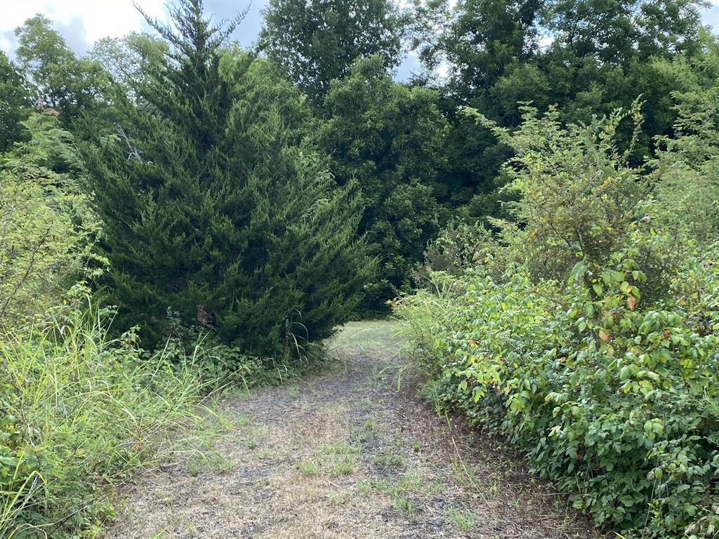 Maina Estates - Land