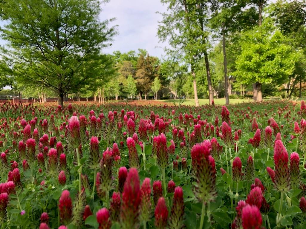 Hillcrest Estates - Land