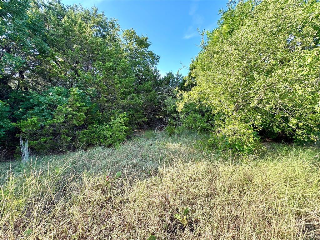 White Bluff #45 - Land