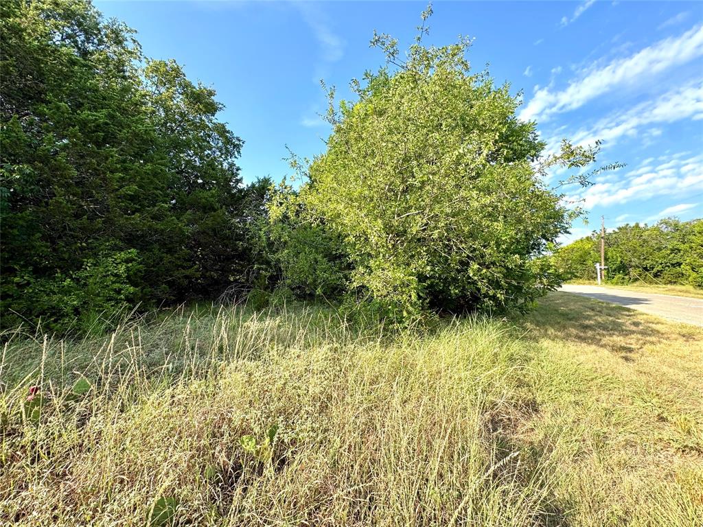 White Bluff #45 - Land