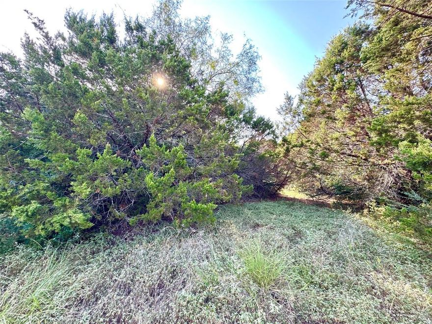 This lot is PRICED TO SELL!!  White Bluff Resort is more than a neighborhood...it's a lifestyle of peace, privacy, and recreation on one of Central Texas's top lakes!  As a White Bluff Property owner, you have access to two 18 hole golf courses, four swimming pools, tennis courts, a marina, and restaurants.  Amenities also include 36 rounds of golf per year, day and night gated security, an onsite fire department, a private boat ramp, and so much more.  This rural setting is a nature lovers dream; deer and wild turkey are often seen wondering and wildflowers really showoff their colors in the spring. Build your permanent residence, weekend retreat, or just hold the property to enjoy the limitless amenities offered at White Bluff Resorts.  A huge benefit to this lot in particular is that is backs up to a large 10 acre parcel, so you won't have neighbors right at your back door.  Don't let this well priced lot pass you by!