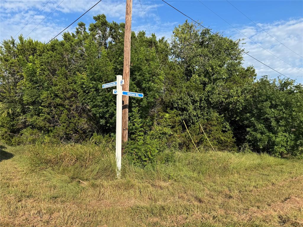 White Bluff #45 - Land