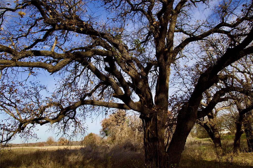 A-674 PINCHBACK 1.77 ACRES - Land