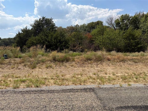 Photo of Lot 10 Co Rd 1110, Farmersville, TX 75442 (MLS # 21398193)