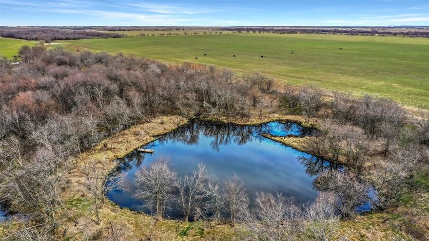 Creek, Trees and a Pond on a Paved Rd.  What else would you want in a property? Outstanding 19.93 ac tract of land outside of Collinsville.    Open pasture or hay field in the front and trees and pond in the back.   This property is level and does have Case Creek running through the north west corner.  Nice pond for enjoyment.