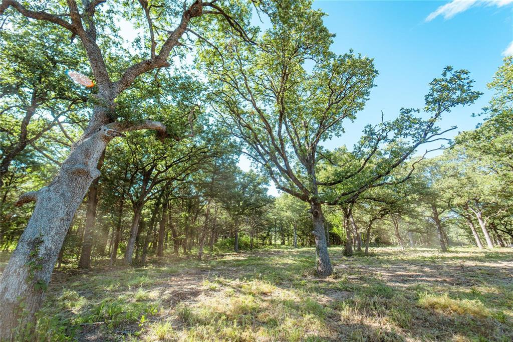 Rattler Ridge - Land