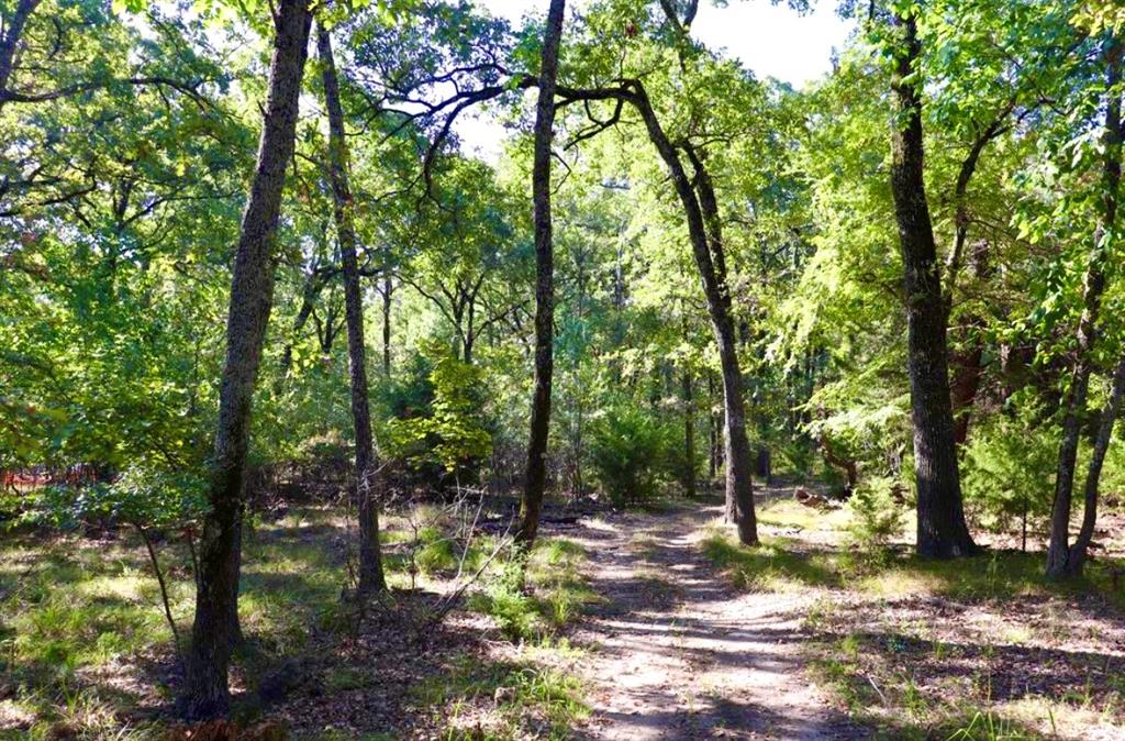 804 Wood Duck Trace