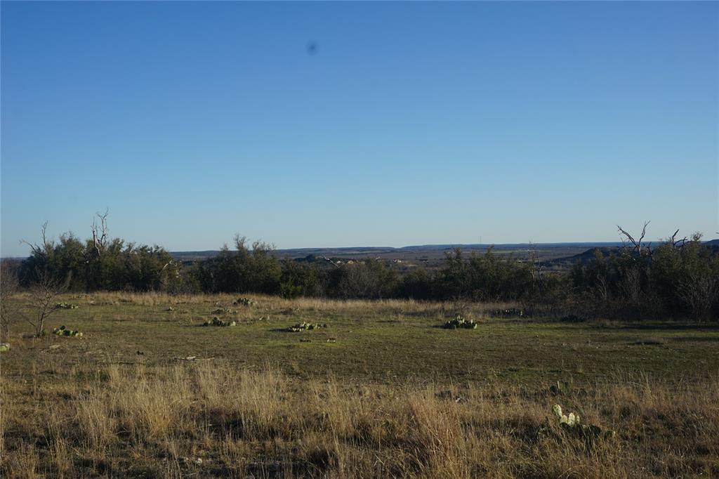Lot 319 Shooting Star