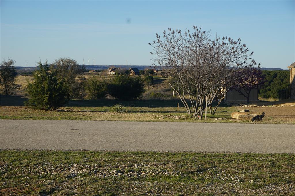 Lot 319 Shooting Star