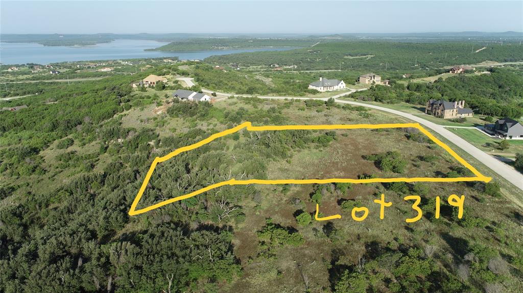 Lot 319 Shooting Star