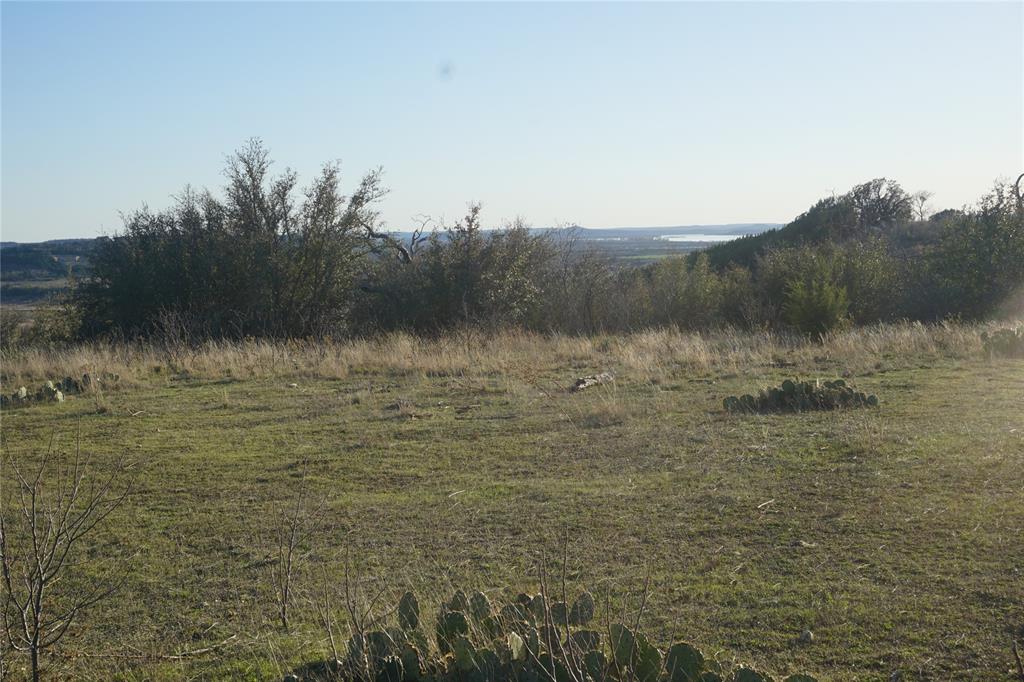 Lot 319 Shooting Star