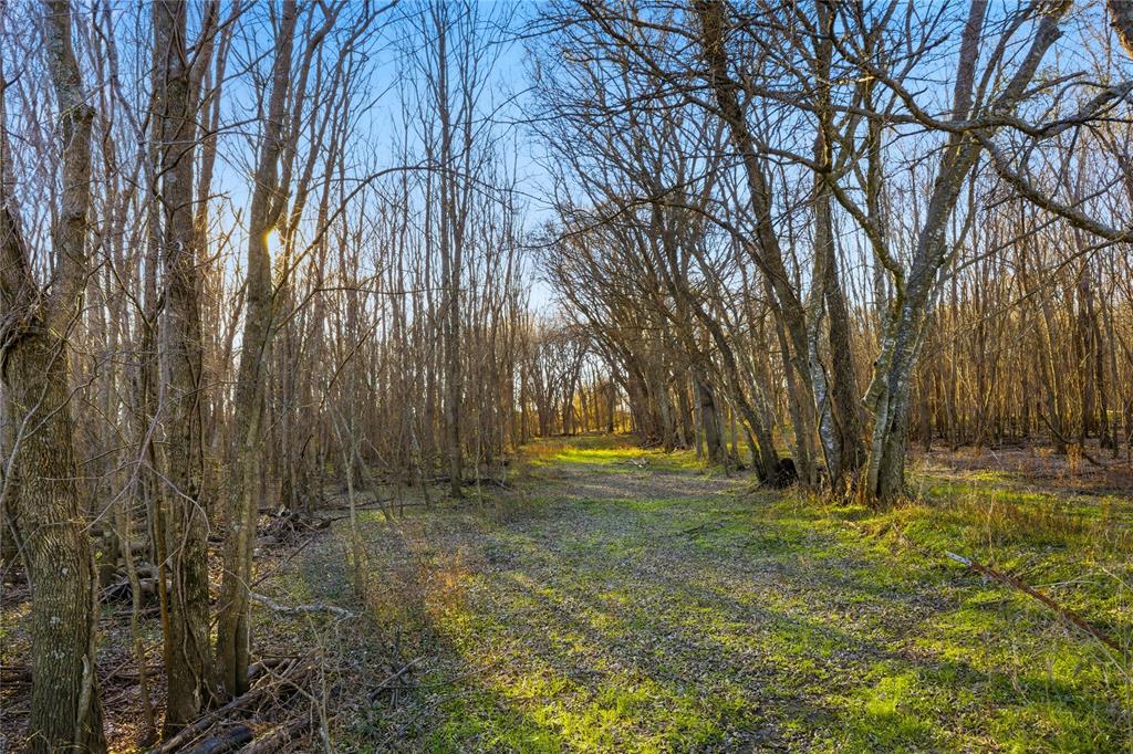T HILL SURVEY & R Glass - Land