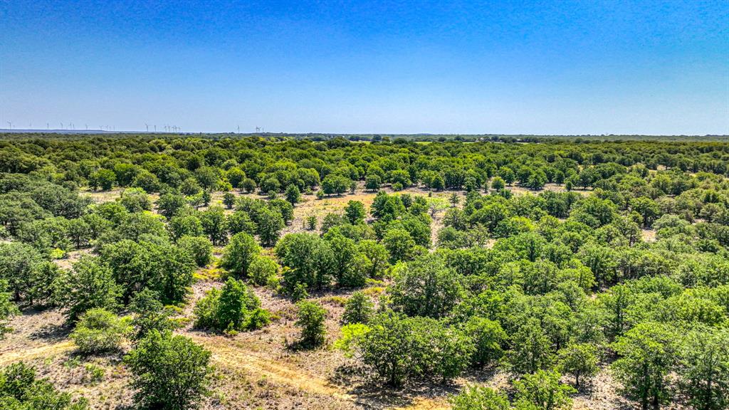 TDR Deer Ranch and multiple parcels surrounding - Farm
