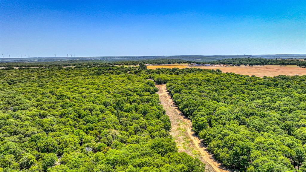 TDR Deer Ranch and multiple parcels surrounding - Farm