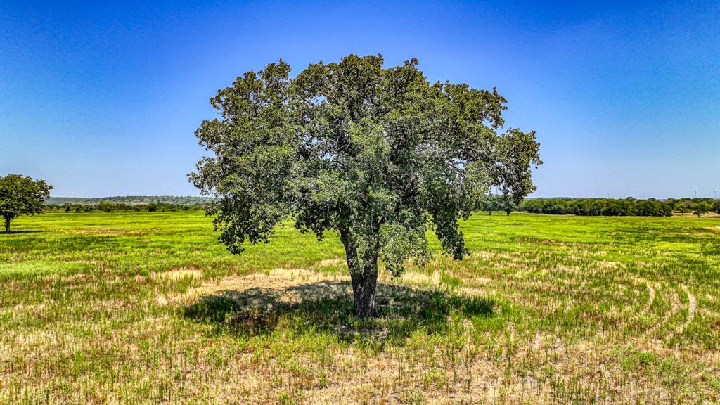 TDR Deer Ranch and multiple parcels surrounding - Farm