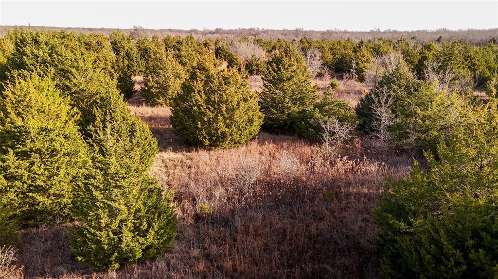 QUINTANO FRANCISCO - Farm