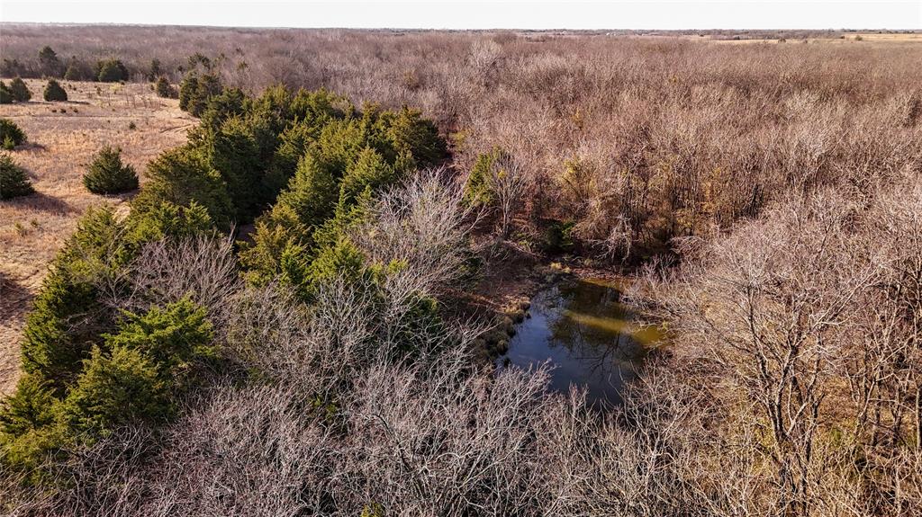 QUINTANO FRANCISCO - Farm