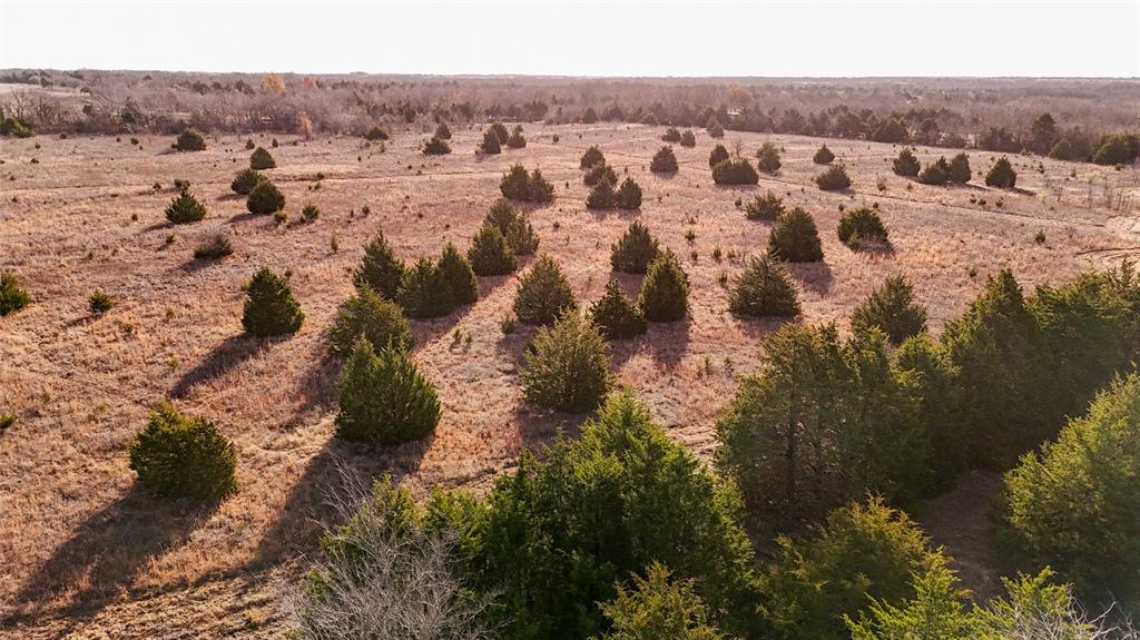 QUINTANO FRANCISCO - Farm