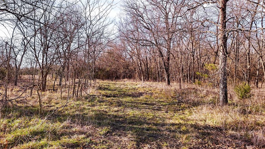 QUINTANO FRANCISCO - Farm