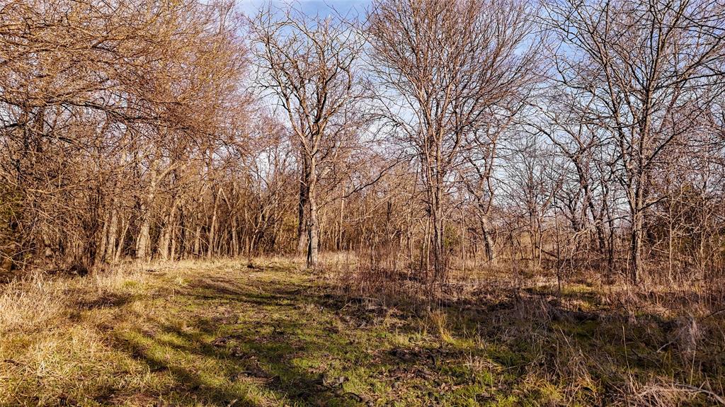 QUINTANO FRANCISCO - Farm