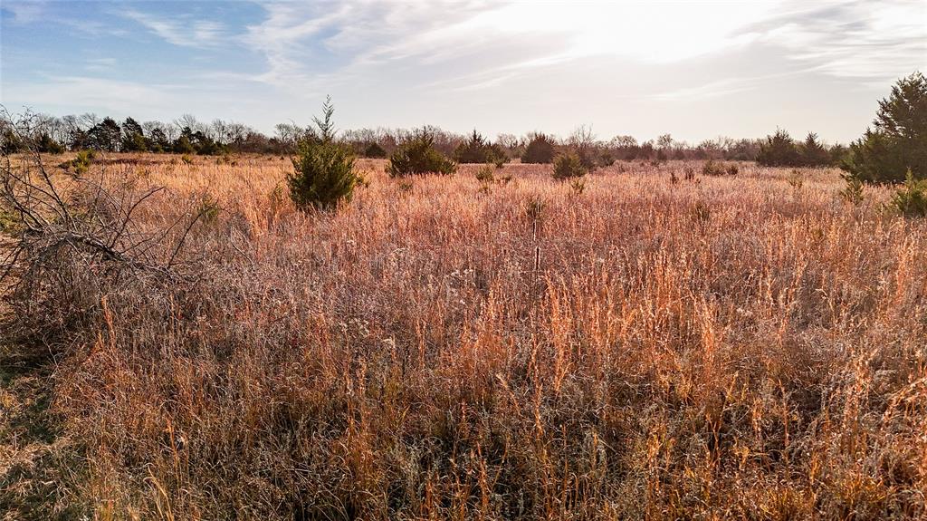QUINTANO FRANCISCO - Farm