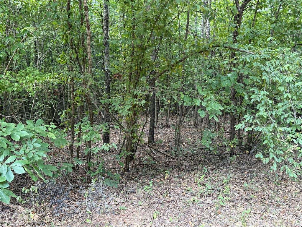 Photo of 2346 County Road 4284, Simms, TX 75574 (MLS # 21350192)