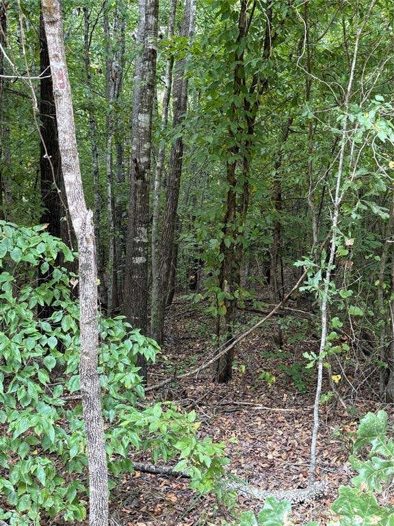 Photo of 2346 County Road 4284, Simms, TX 75574 (MLS # 21350192)