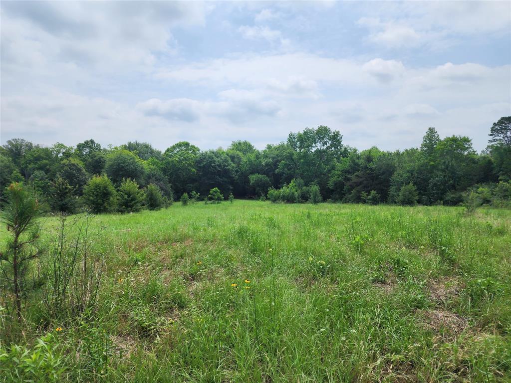 Mineola Townsites - Land