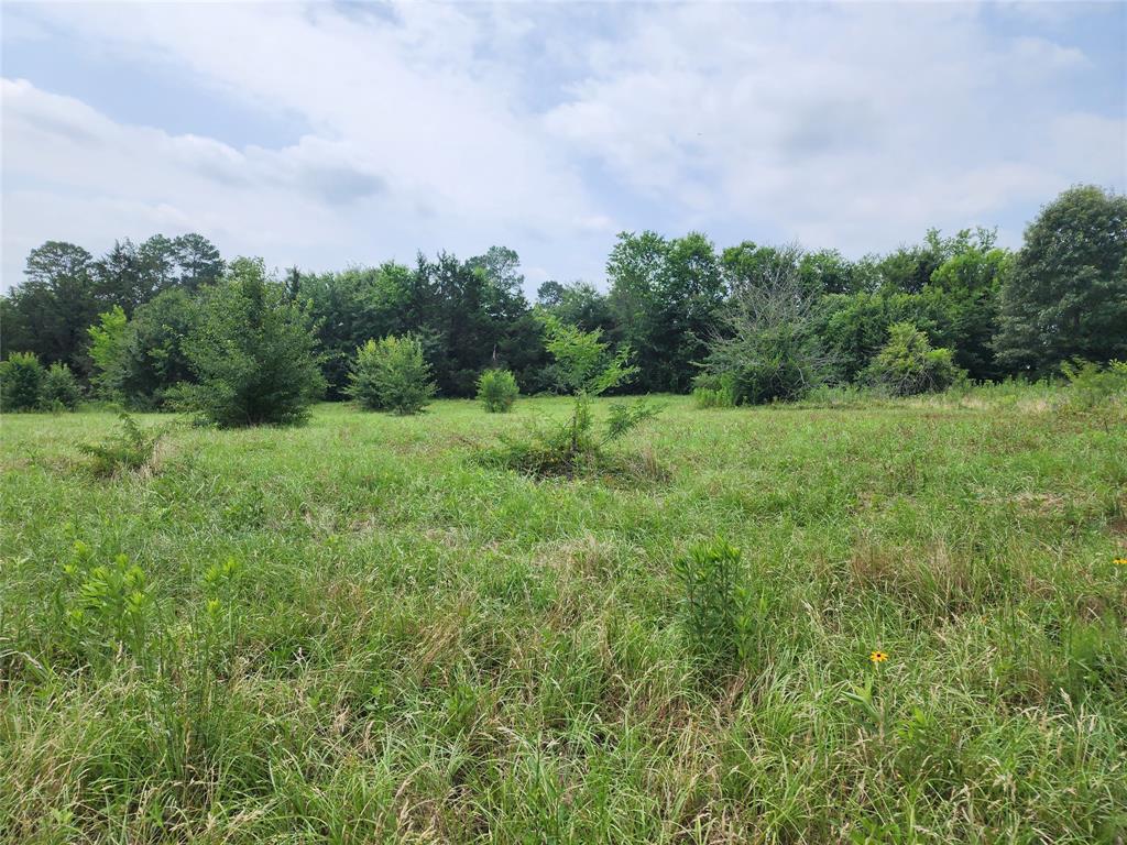 Mineola Townsites - Land