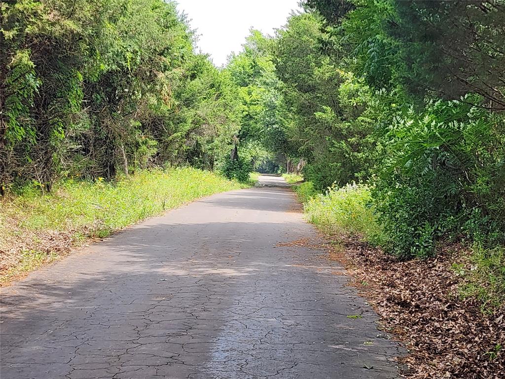 Mineola Townsites - Land