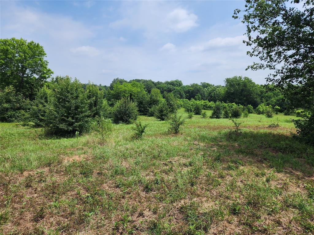 Mineola Townsites - Land