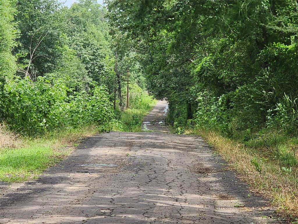 Mineola Townsites - Land