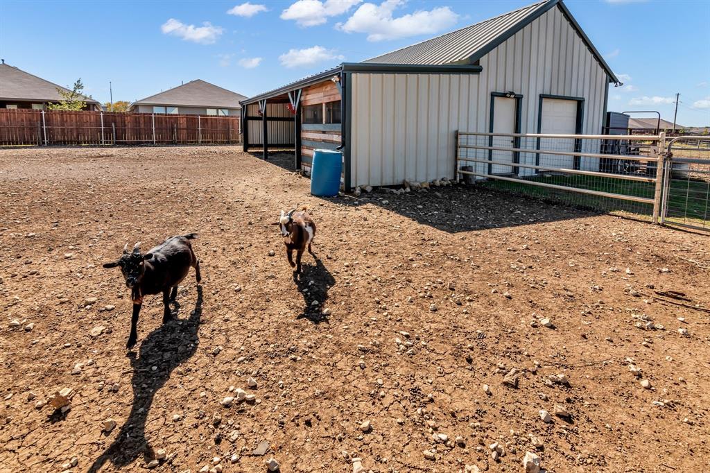 thomas j survey - Residential