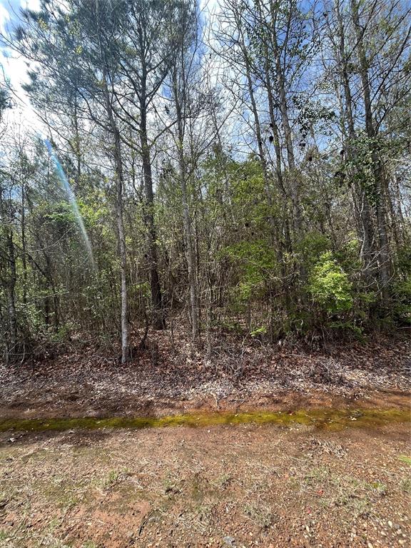 Benton, Louisiana 71006, United States, ,Land,Active,150120