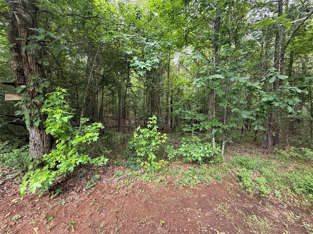 Benton, Louisiana 71006, United States, ,Land,Active,150120