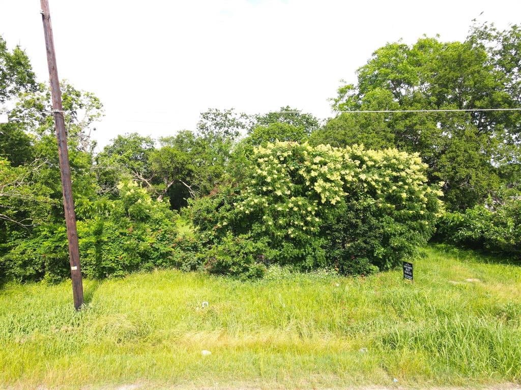 Terrell Original - Land