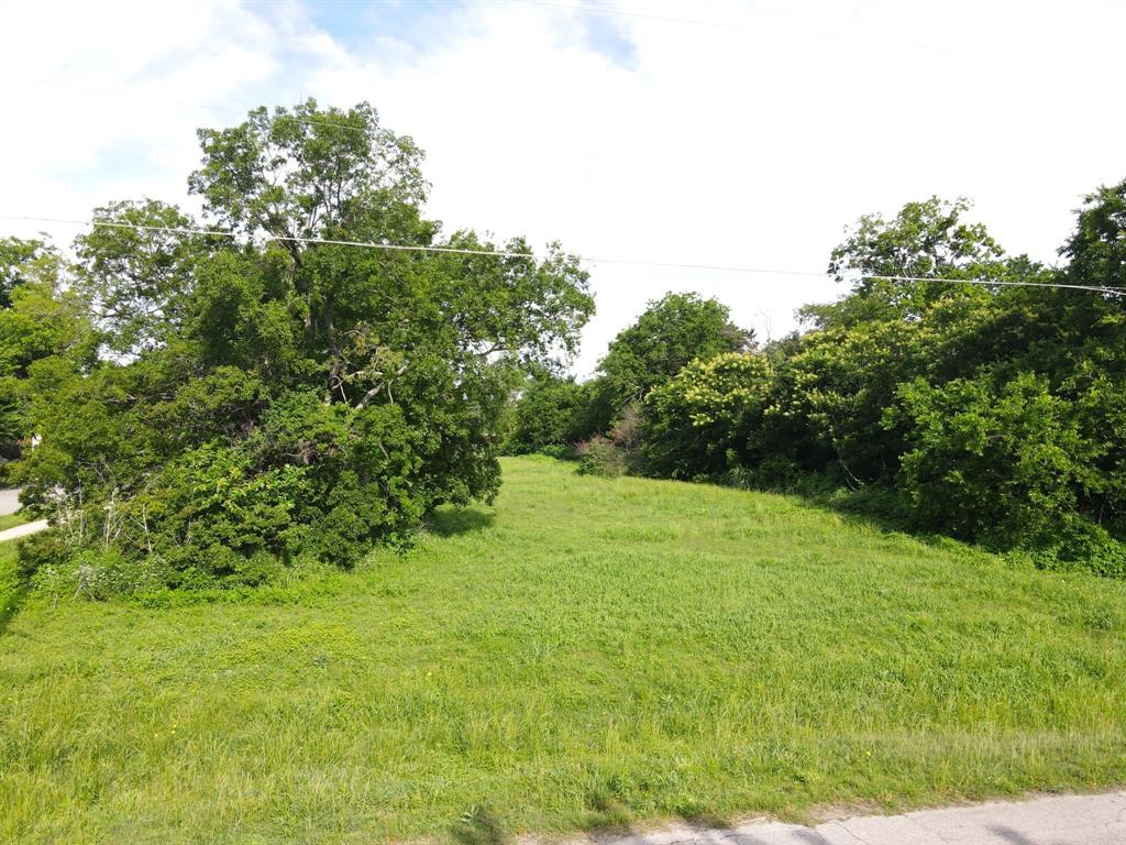 Terrell Original - Land