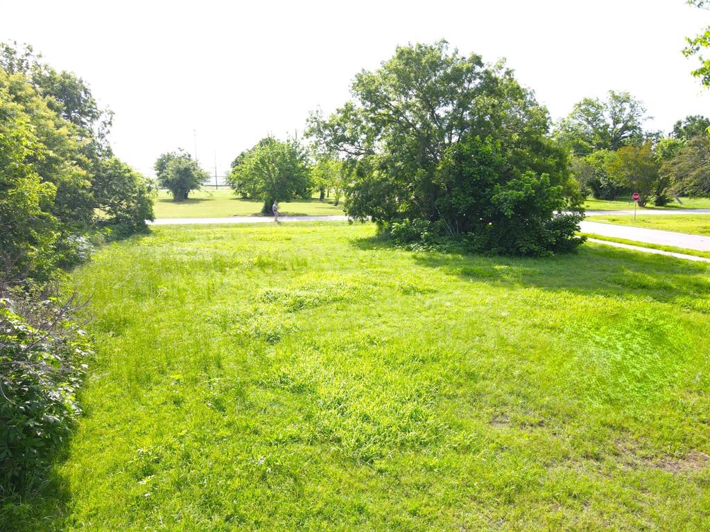 Terrell Original - Land