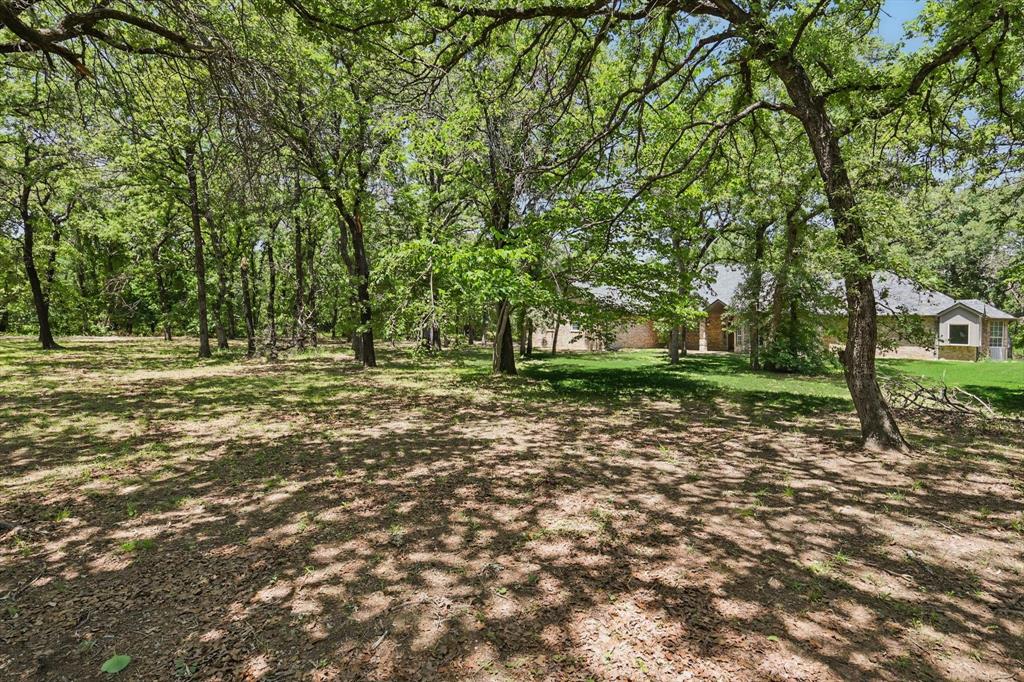 302 Forest Trail