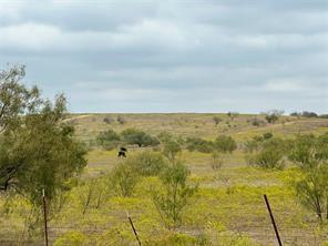 C Manchaca - Commercial Sale