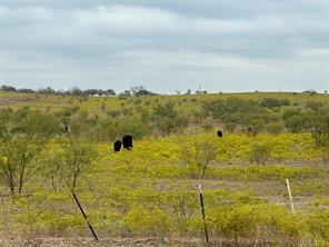 C Manchaca - Commercial Sale