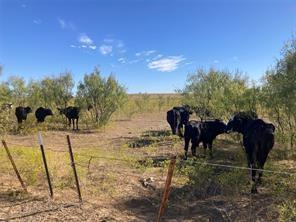 C Manchaca - Commercial Sale