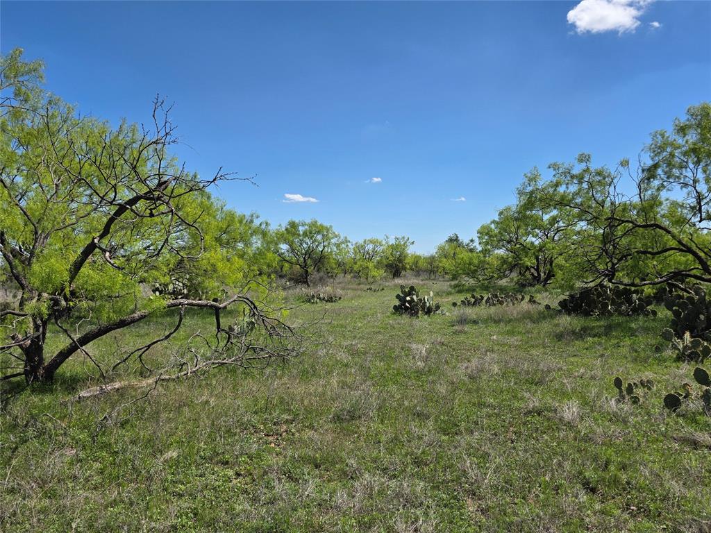 1709 County Road 330