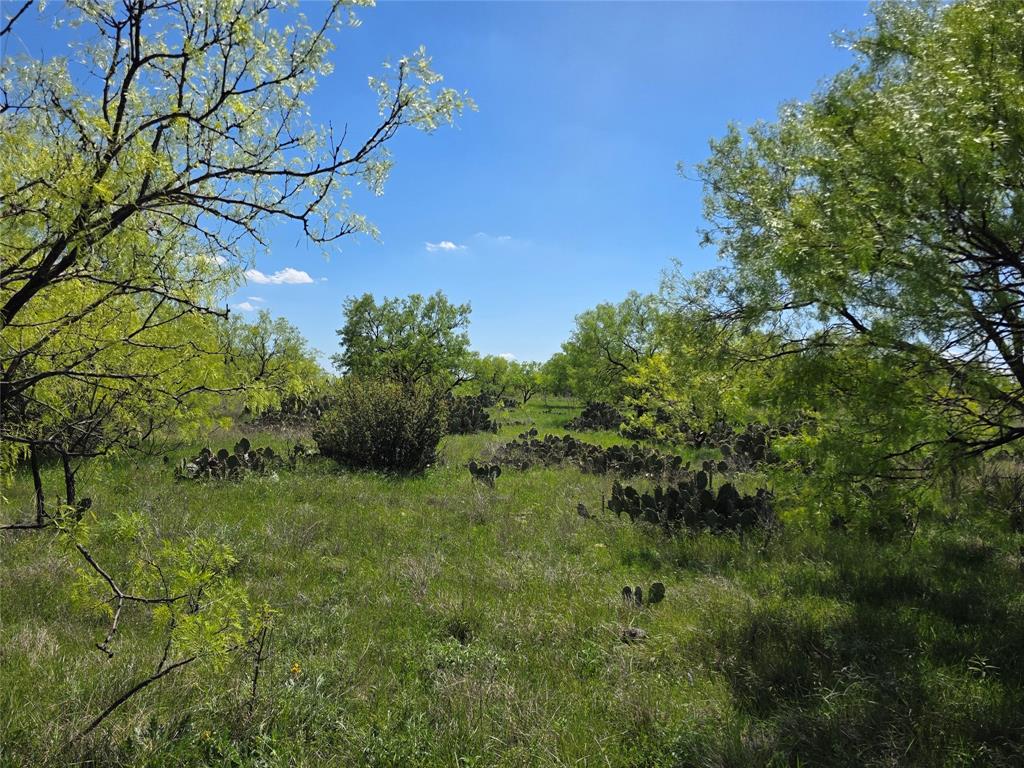 1709 County Road 330